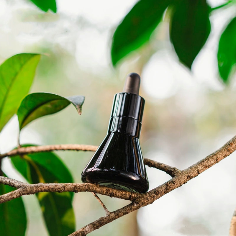 Imballaggio cosmetico per bottiglia di olio essenziale in vetro conico nero Imballaggio cosmetico per bottiglia di olio essenziale in vetro conico nero